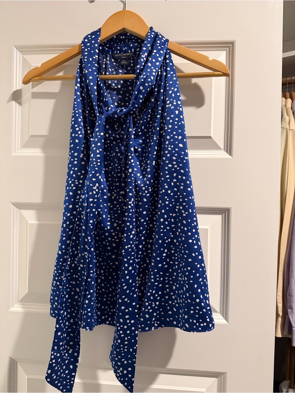 Banana Republic Blue Polka Dot Tie-Neck Blouse